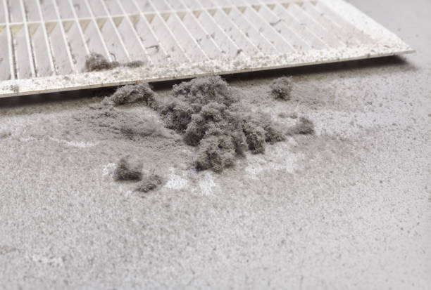 Best Air Vent Cleaning Services  in Newton, TX