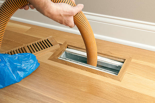 Best Professional Duct Cleaning Services  in Newton, TX
