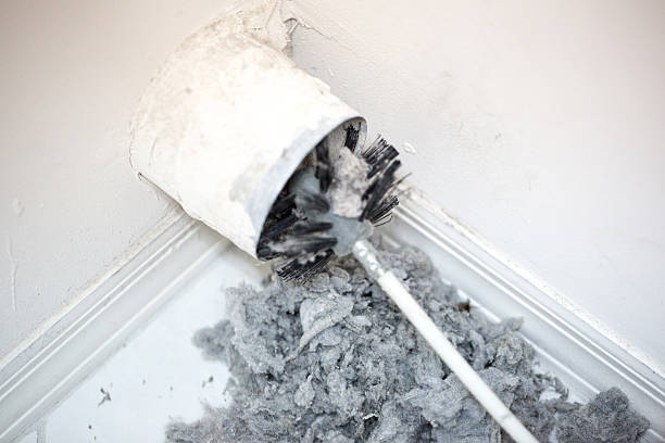 Best Air Duct Sanitizing Services  in Newton, TX