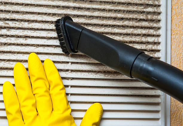 Best Ductwork Cleaning Services  in Newton, TX